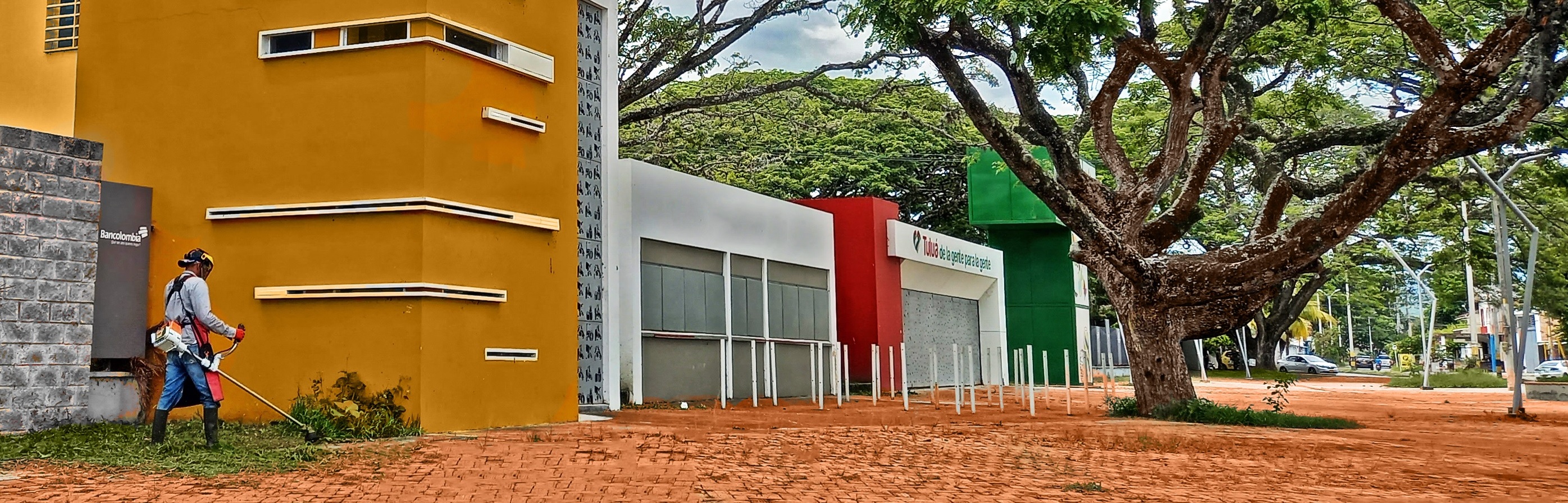 VTEM Image Show